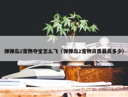 弹弹岛2宠物夺宝怎么飞（弹弹岛2宠物资质最高多少）