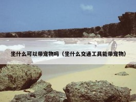 坐什么可以带宠物吗（坐什么交通工具能带宠物）