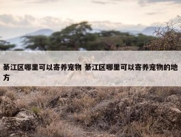 綦江区哪里可以寄养宠物 綦江区哪里可以寄养宠物的地方