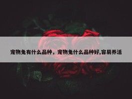 宠物兔有什么品种，宠物兔什么品种好,容易养活