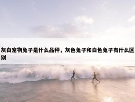 灰白宠物兔子是什么品种，灰色兔子和白色兔子有什么区别