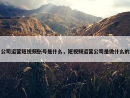 公司运营短视频账号是什么，短视频运营公司是做什么的