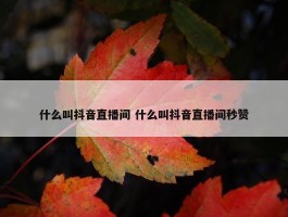 什么叫抖音直播间 什么叫抖音直播间秒赞