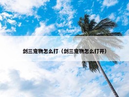 剑三宠物怎么打（剑三宠物怎么打开）