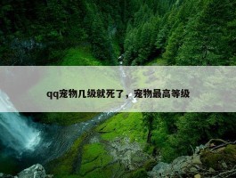 qq宠物几级就死了，宠物最高等级