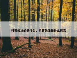 抖音关注的是什么，抖音关注是什么标志