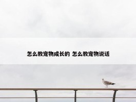 怎么教宠物成长的 怎么教宠物说话