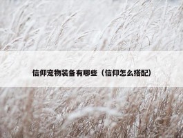 信仰宠物装备有哪些（信仰怎么搭配）