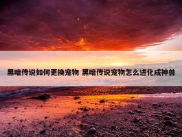 黑暗传说如何更换宠物 黑暗传说宠物怎么进化成神兽