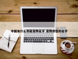 中国有什么奇葩宠物名字 宠物奇怪的名字