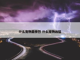 什么宠物最惨烈 什么宠物凶猛