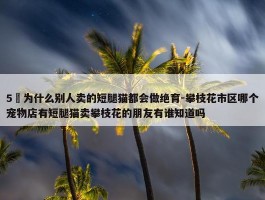 5 为什么别人卖的短腿猫都会做绝育-攀枝花市区哪个宠物店有短腿猫卖攀枝花的朋友有谁知道吗