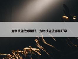 宠物技能放哪里好，宠物技能放哪里好学