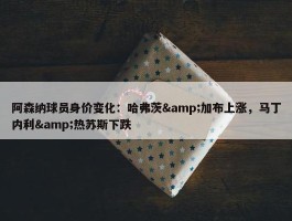 阿森纳球员身价变化：哈弗茨&加布上涨，马丁内利&热苏斯下跌