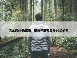 怎么抓60级宠物，魔兽怀旧哪里有60级的宠