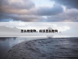 怎么抱宠物，应该怎么抱狗