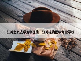 江苏怎么去学宠物医生，江苏宠物医学专业学校