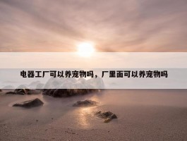 电器工厂可以养宠物吗，厂里面可以养宠物吗