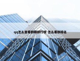 qq怎么查看群聊排行榜 怎么看群排名