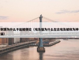 刺猬为什么不能随便捡（埃及猫为什么在古埃及被称为神猫）