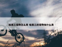 暗黑三宠物怎么用 暗黑三的宠物有什么用