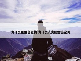 为什么把蚕当宠物 为什么人类把蚕当宝贝