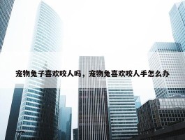 宠物兔子喜欢咬人吗，宠物兔喜欢咬人手怎么办