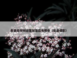 乾县短视频运营加盟店有哪些（乾县摄影）