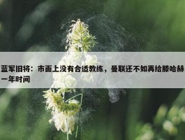 蓝军旧将：市面上没有合适教练，曼联还不如再给滕哈赫一年时间