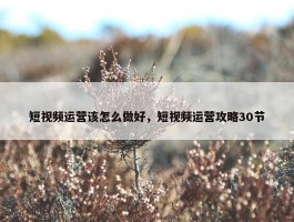 短视频运营该怎么做好，短视频运营攻略30节