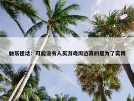 触乐怪话：可能没有人买游戏周边真的是为了实用