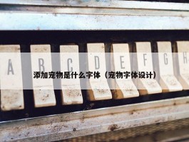 添加宠物是什么字体（宠物字体设计）