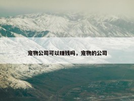 宠物公司可以赚钱吗，宠物的公司