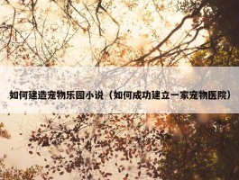 如何建造宠物乐园小说（如何成功建立一家宠物医院）