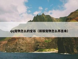 qq宠物怎么的宝石（新版宠物怎么弄出来）