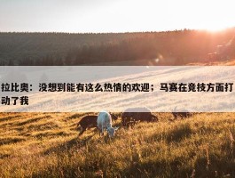 拉比奥：没想到能有这么热情的欢迎；马赛在竞技方面打动了我