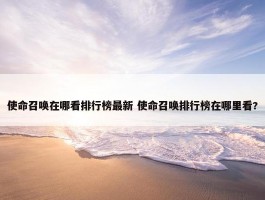 使命召唤在哪看排行榜最新 使命召唤排行榜在哪里看?