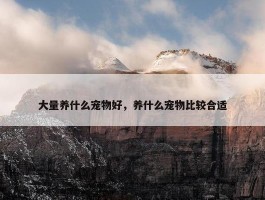 大量养什么宠物好，养什么宠物比较合适