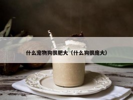 什么宠物狗很肥大（什么狗很庞大）