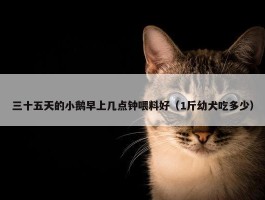 三十五天的小鹅早上几点钟喂料好（1斤幼犬吃多少）