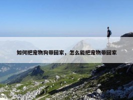 如何把宠物狗带回家，怎么能把宠物带回家