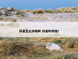 抖音怎么挣钱啊 抖音咋挣钱?