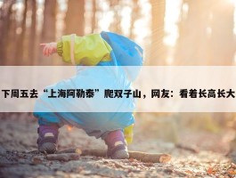 下周五去“上海阿勒泰”爬双子山，网友：看着长高长大