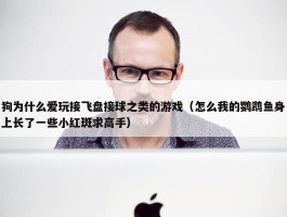 狗为什么爱玩接飞盘接球之类的游戏（怎么我的鹦鹉鱼身上长了一些小红斑求高手）