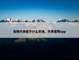 宠物代养属于什么市场，代养宠物app