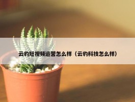 云豹短视频运营怎么样（云豹科技怎么样）