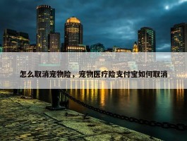 怎么取消宠物险，宠物医疗险支付宝如何取消