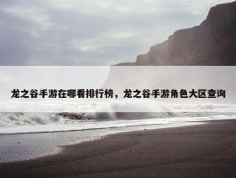 龙之谷手游在哪看排行榜，龙之谷手游角色大区查询