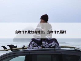 宠物什么比较有地位，宠物什么最好