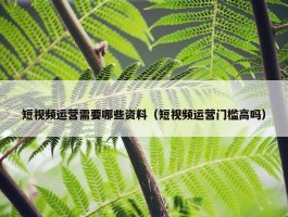 短视频运营需要哪些资料（短视频运营门槛高吗）